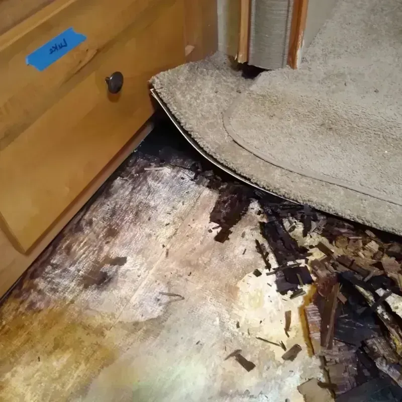 Wood Floor Water Damage in Grant County, MN